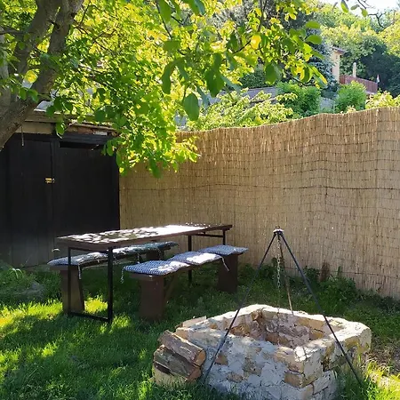 Elizabeth Vendeghaz Balatonfuzfon A Strandnal