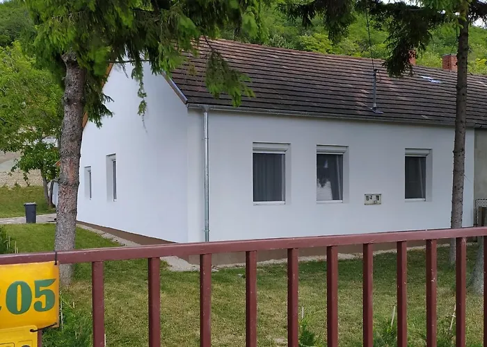 Elizabeth Vendeghaz Balatonfuzfon A Strandnal Балатонфюзфё